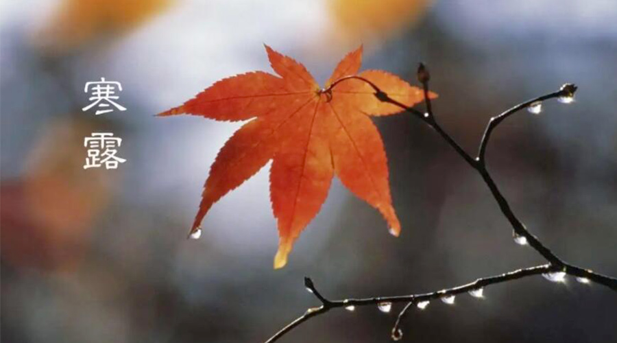 寒露時(shí)節！金環(huán)電器提醒大家要注意的事項