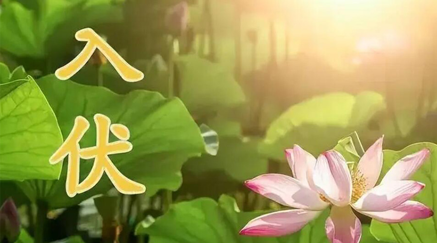 入伏天來(lái)襲！金環(huán)電器提醒大家要注意的事項