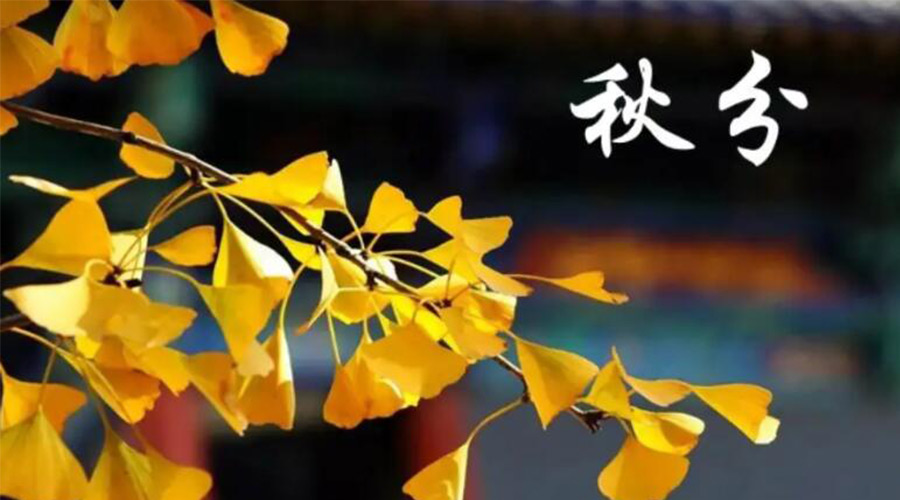 秋分時(shí)節！金環(huán)電器提醒大家要注意的事項